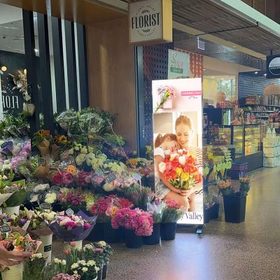 Indoor LED Poster Indoor LED Poster